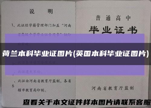 荷兰本科毕业证图片(英国本科毕业证图片)缩略图