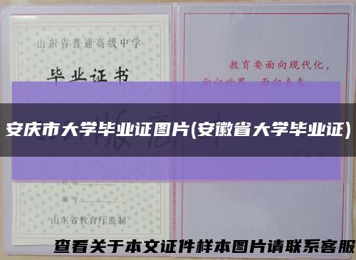 安庆市大学毕业证图片(安徽省大学毕业证)缩略图