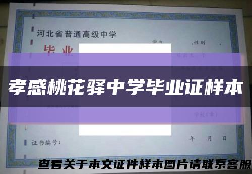 孝感桃花驿中学毕业证样本缩略图