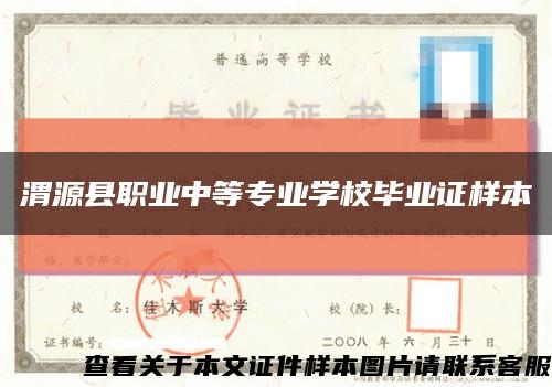 渭源县职业中等专业学校毕业证样本缩略图