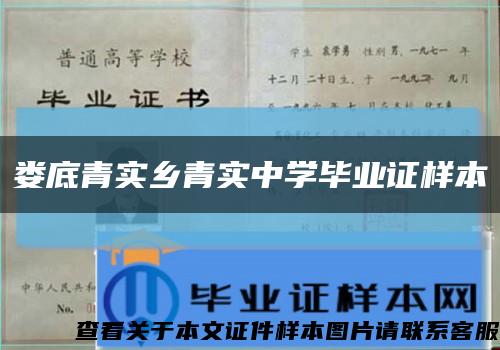 娄底青实乡青实中学毕业证样本缩略图