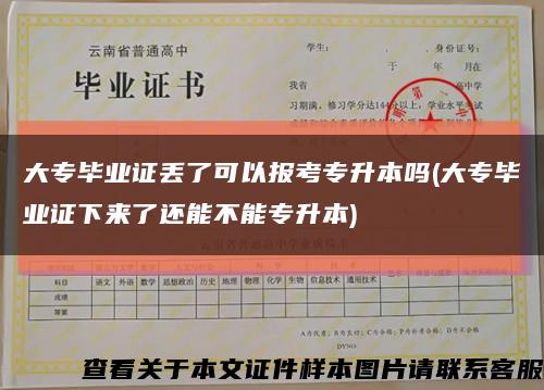 大专毕业证丢了可以报考专升本吗(大专毕业证下来了还能不能专升本)缩略图
