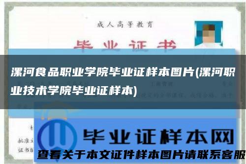 漯河食品职业学院毕业证样本图片(漯河职业技术学院毕业证样本)缩略图