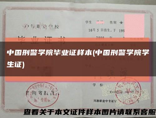 中国刑警学院毕业证样本(中国刑警学院学生证)缩略图