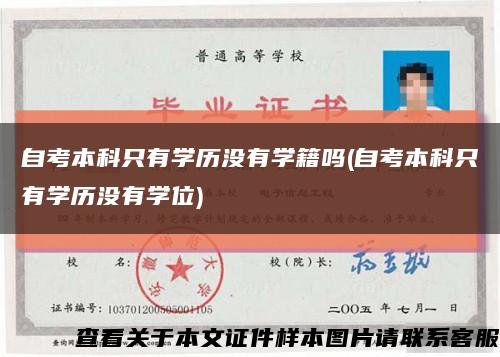 自考本科只有学历没有学籍吗(自考本科只有学历没有学位)缩略图