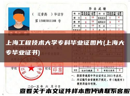 上海工程技术大学专科毕业证图片(上海大专毕业证书)缩略图