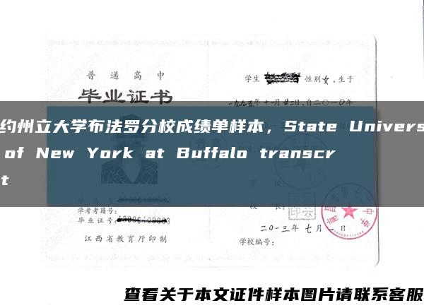 纽约州立大学布法罗分校成绩单样本，State University of New York at Buffalo transcript缩略图