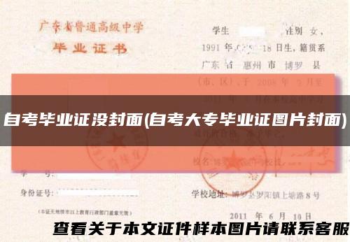 自考毕业证没封面(自考大专毕业证图片封面)缩略图