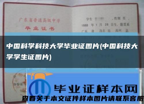 中国科学科技大学毕业证图片(中国科技大学学生证图片)缩略图