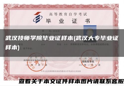 武汉技师学院毕业证样本(武汉大专毕业证样本)缩略图