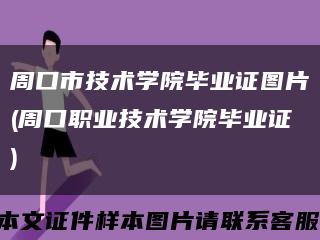 周口市技术学院毕业证图片(周口职业技术学院毕业证)缩略图
