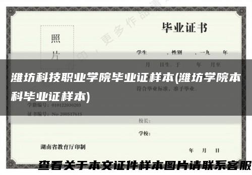 潍坊科技职业学院毕业证样本(潍坊学院本科毕业证样本)缩略图