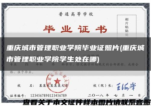 重庆城市管理职业学院毕业证照片(重庆城市管理职业学院学生处在哪)缩略图