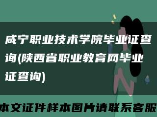 咸宁职业技术学院毕业证查询(陕西省职业教育网毕业证查询)缩略图