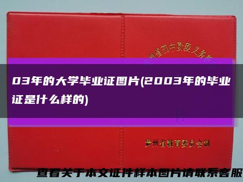 03年的大学毕业证图片(2003年的毕业证是什么样的)缩略图