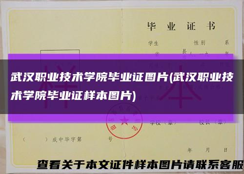 武汉职业技术学院毕业证图片(武汉职业技术学院毕业证样本图片)缩略图