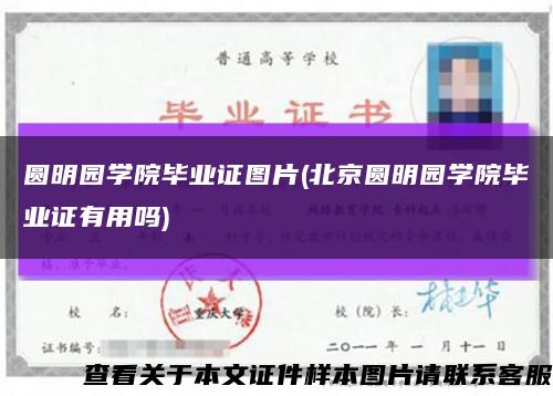圆明园学院毕业证图片(北京圆明园学院毕业证有用吗)缩略图