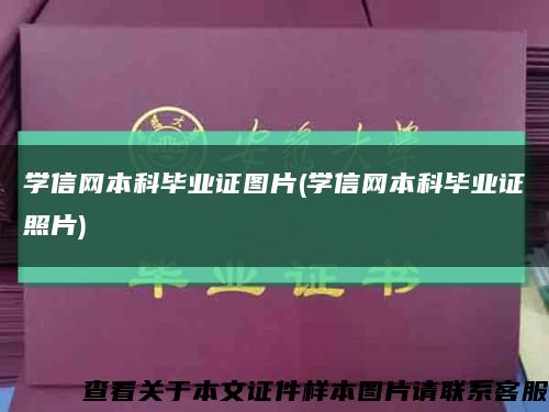学信网本科毕业证图片(学信网本科毕业证照片)缩略图