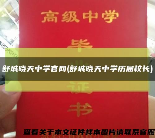 舒城晓天中学官网(舒城晓天中学历届校长)缩略图