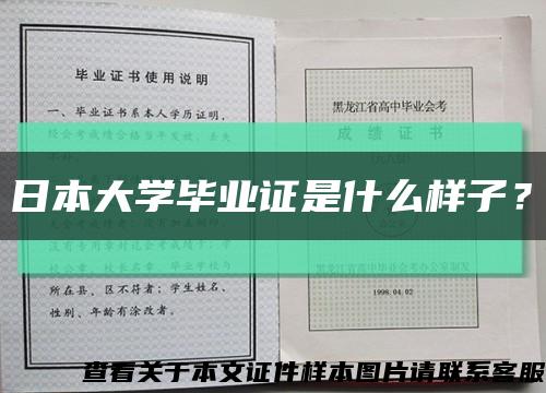 日本大学毕业证是什么样子？缩略图