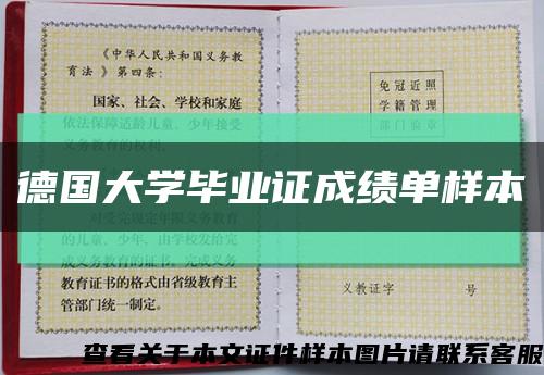 德国大学毕业证成绩单样本缩略图