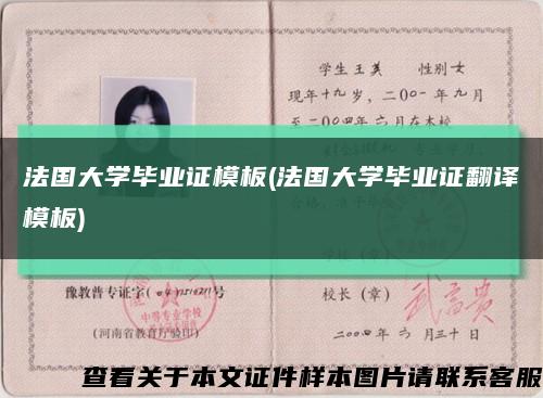 法国大学毕业证模板(法国大学毕业证翻译模板)缩略图