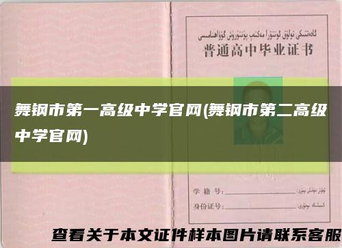 舞钢市第一高级中学官网(舞钢市第二高级中学官网)缩略图