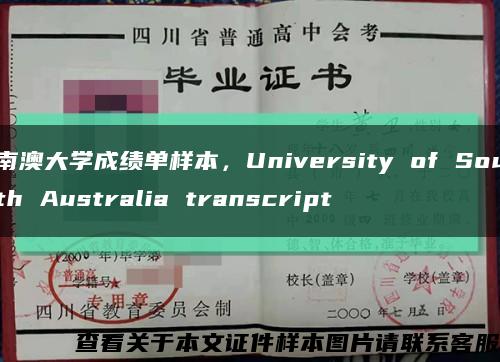 南澳大学成绩单样本，University of South Australia transcript缩略图