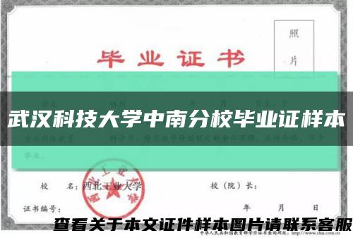 武汉科技大学中南分校毕业证样本缩略图