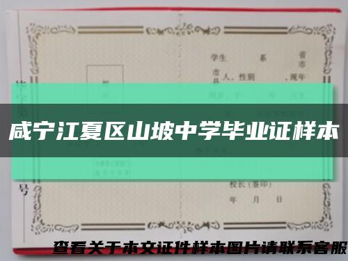 咸宁江夏区山坡中学毕业证样本缩略图