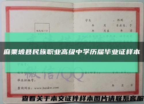 麻栗坡县民族职业高级中学历届毕业证样本缩略图