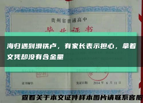 海归遇到滑铁卢，有家长表示担心，拿着文凭却没有含金量缩略图