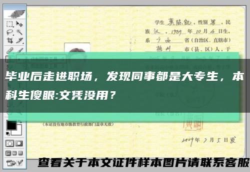 毕业后走进职场，发现同事都是大专生，本科生傻眼:文凭没用？缩略图