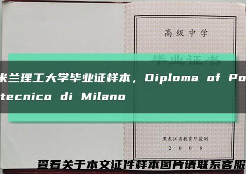 米兰理工大学毕业证样本，Diploma of Politecnico di Milano缩略图