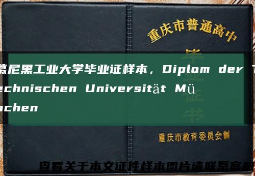 慕尼黑工业大学毕业证样本，Diplom der Technischen Universität München缩略图