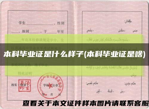 本科毕业证是什么样子(本科毕业证是啥)缩略图