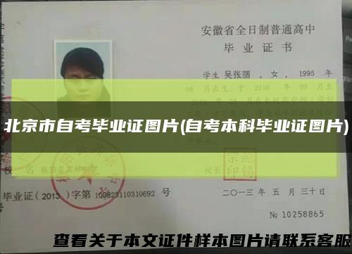 北京市自考毕业证图片(自考本科毕业证图片)缩略图