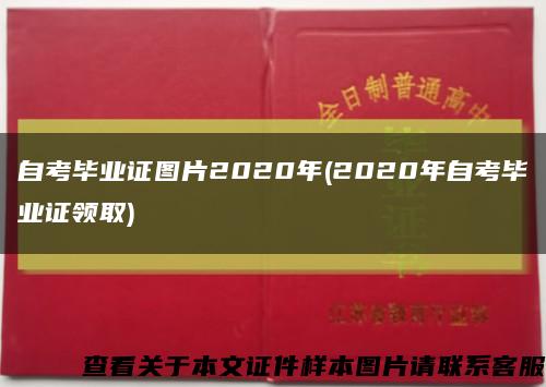 自考毕业证图片2020年(2020年自考毕业证领取)缩略图