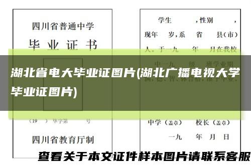 湖北省电大毕业证图片(湖北广播电视大学毕业证图片)缩略图