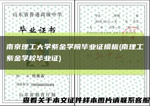 南京理工大学紫金学院毕业证模板(南理工紫金学校毕业证)缩略图