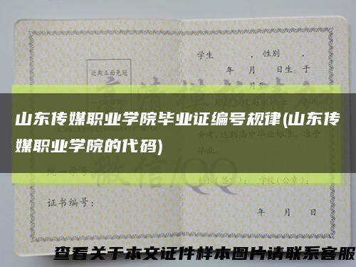 山东传媒职业学院毕业证编号规律(山东传媒职业学院的代码)缩略图