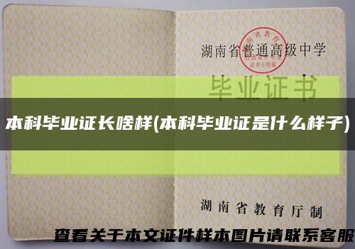 本科毕业证长啥样(本科毕业证是什么样子)缩略图