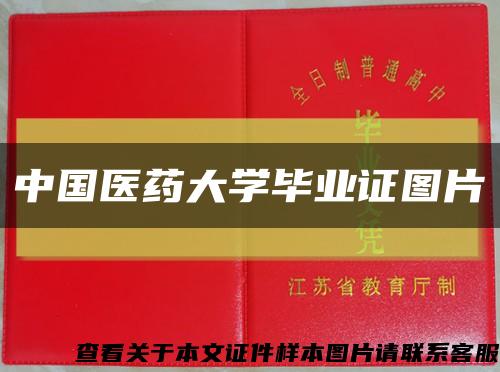 中国医药大学毕业证图片缩略图