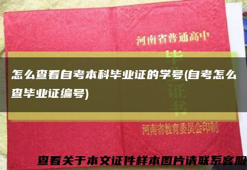 怎么查看自考本科毕业证的学号(自考怎么查毕业证编号)缩略图