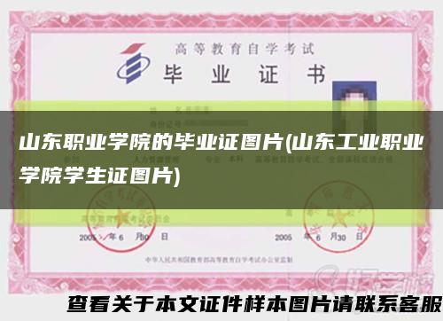山东职业学院的毕业证图片(山东工业职业学院学生证图片)缩略图