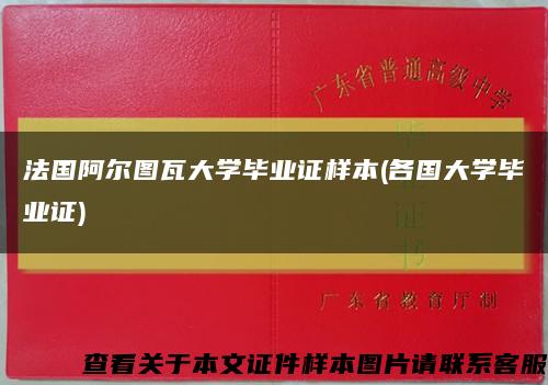 法国阿尔图瓦大学毕业证样本(各国大学毕业证)缩略图