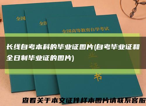 长线自考本科的毕业证图片(自考毕业证和全日制毕业证的图片)缩略图