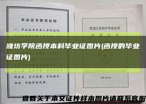 潍坊学院函授本科毕业证图片(函授的毕业证图片)缩略图