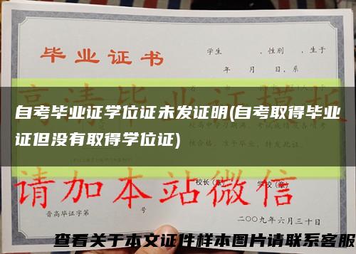 自考毕业证学位证未发证明(自考取得毕业证但没有取得学位证)缩略图