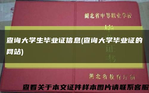 查询大学生毕业证信息(查询大学毕业证的网站)缩略图